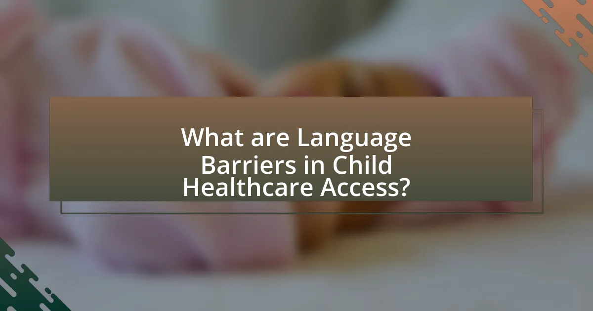 What are Language Barriers in Child Healthcare Access?