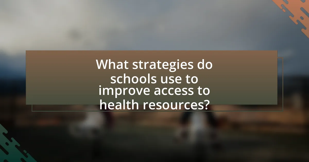 What strategies do schools use to improve access to health resources?